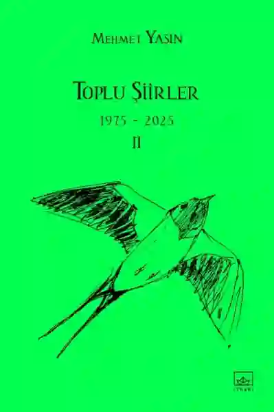 Resim TOPLU ŞİİRLER 2