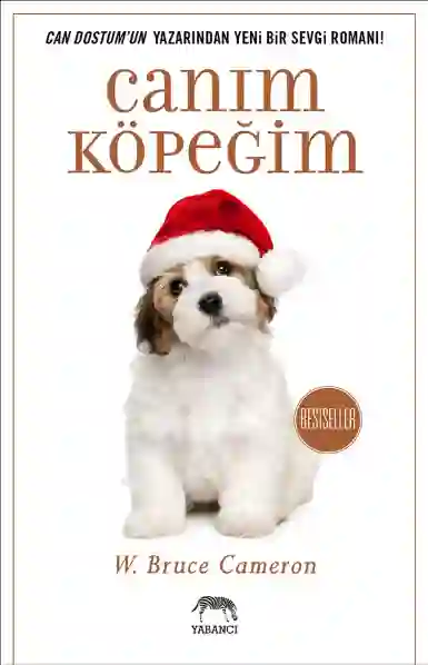 Resim Canım Köpeğim