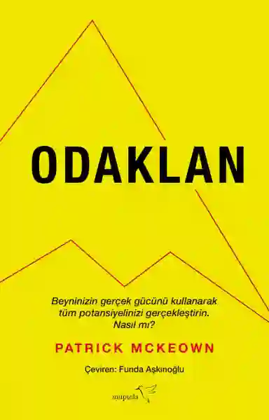 Resim ODAKLAN