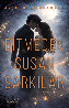 Resim BİTMEDEN SUSAN ŞARKILAR