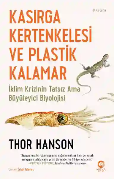 Resim KASIRGA KERTENGELESİ VE PLASTİK KALAMAR