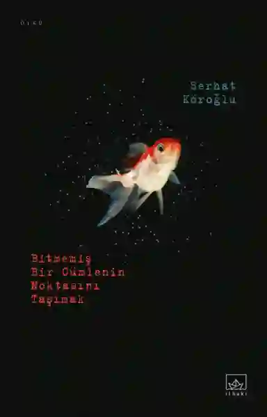 Resim BİTMEMİŞ BİR CÜMLENİN NOKTASINI TAŞIMAK