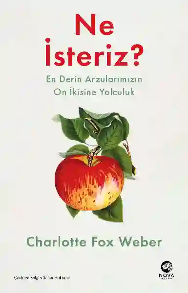 Resim NE İSTERİZ: EN DERİN ARZULARIMIZIN ON İKİSİNE YOLCULUK