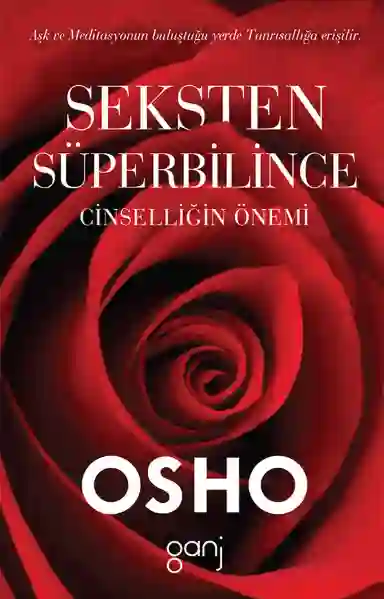 Resim SEKSTEN SÜPERBİLİNCE