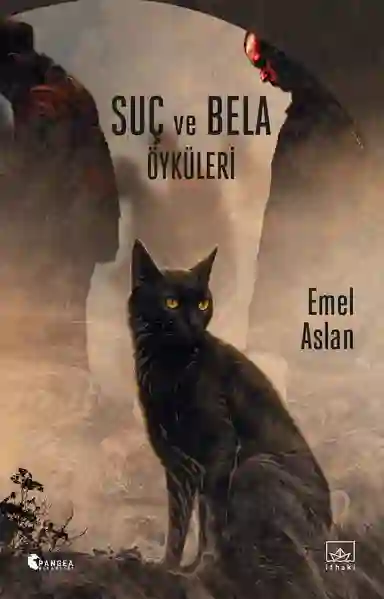 Resim SUÇ VE BELA ÖYKÜLERİ