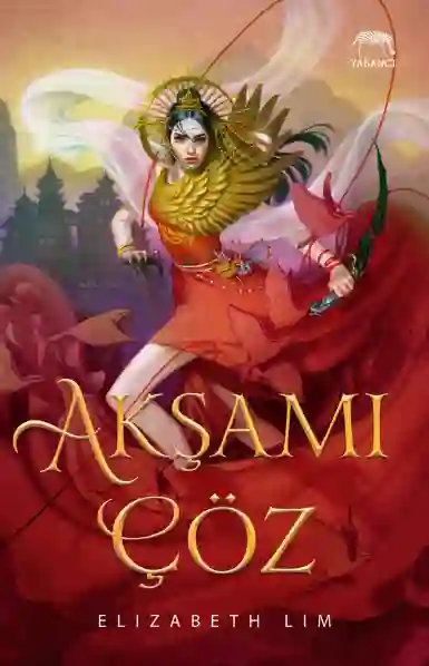 Resim AKŞAMI ÇÖZ CİLTLİ