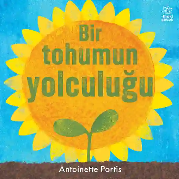 Resim Bir Tohumun Yolculuğu
