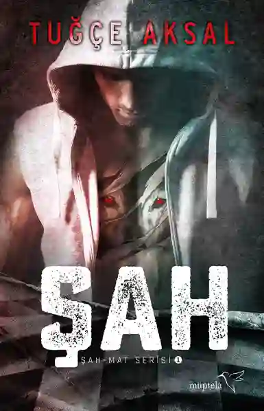 Resim ŞAH