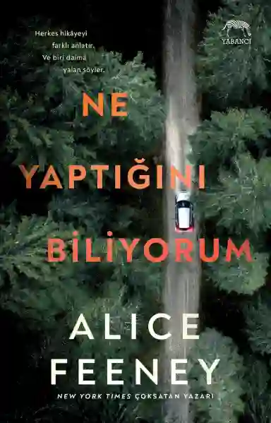 Resim Ne Yaptığını Biliyorum