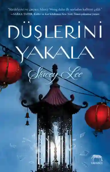 Resim DÜŞLERİNİ YAKALA