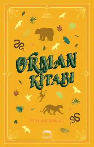 Resim ORMAN KİTABI