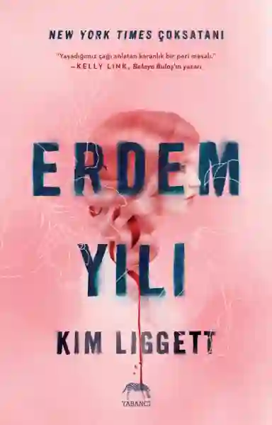 Resim ERDEM YILI (CİLTLİ)