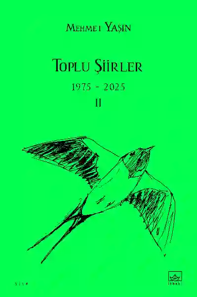 Resim Toplu Şiirler Iı