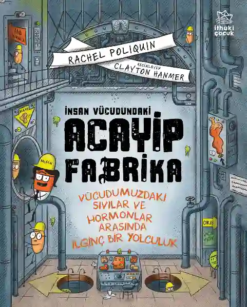 Resim İnsan Vücudundaki Acayip Fabrika